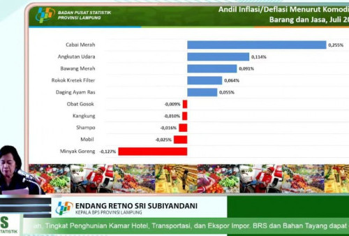 Mantap! Neraca Perdagangan Lampung Alami Surplus