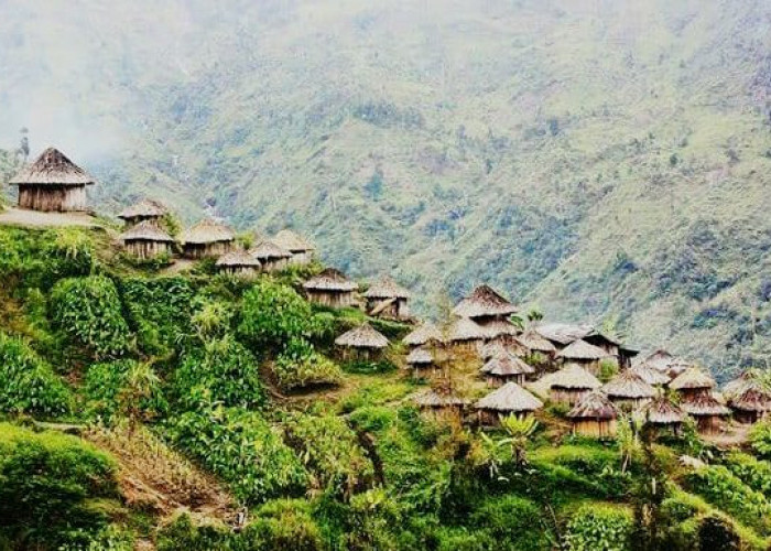 Jangan Sampai Salah! Ini Perbedaan Rumah Jew dan Tsyem Suku Asmat Papua