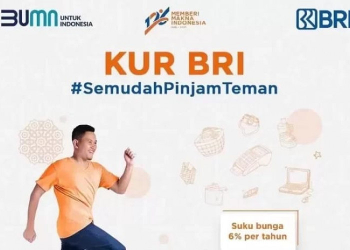 Wajib Tahu! Ini Faktor Penyebab Pengajuan KUR BRI Ditolak Oleh Pihak Bank
