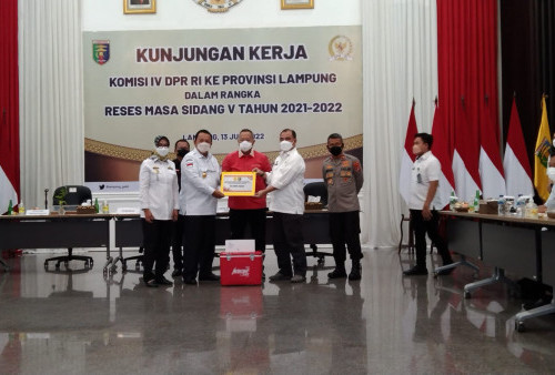 Lampung Sudah Nol Kasus PMK