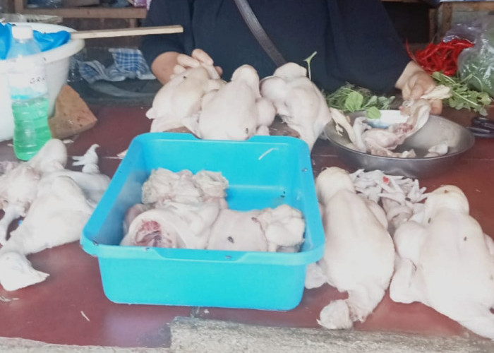 Jelang Libur Nataru, Disdag Bandar Lampung Diminta Lebih Aktif Turun ke Pasar