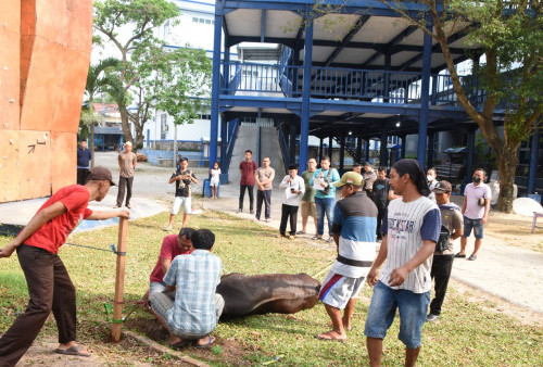 IIB Darmajaya Sembelih Enam Hewan Kurban, Begini Harapan Rektor