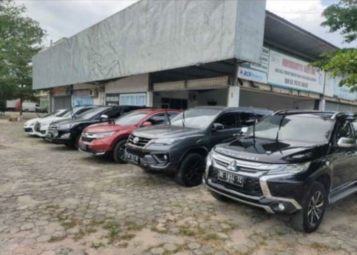 APMOL Sebut Kenaikan 10 Persen Penjualan Dibandingkan Pembelian Mobil Bekas 