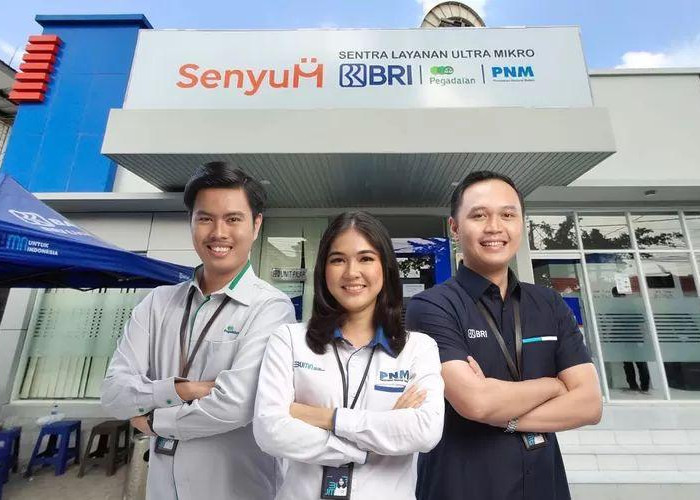 BRI Catat Kinerja Positif di 2024, UMKM Jadi Pilar Utama Pertumbuhan