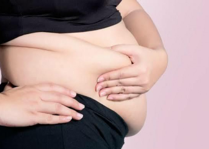 Cara Sehat Menghilangkan Perut Buncit Pada Wanita Tanpa Olahraga Berat