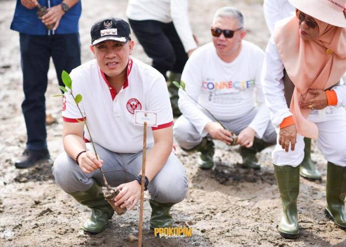 Peringatan HAB, Kemenag Lampung Bersama Bupati Pesawaran Tanam Mangrove 