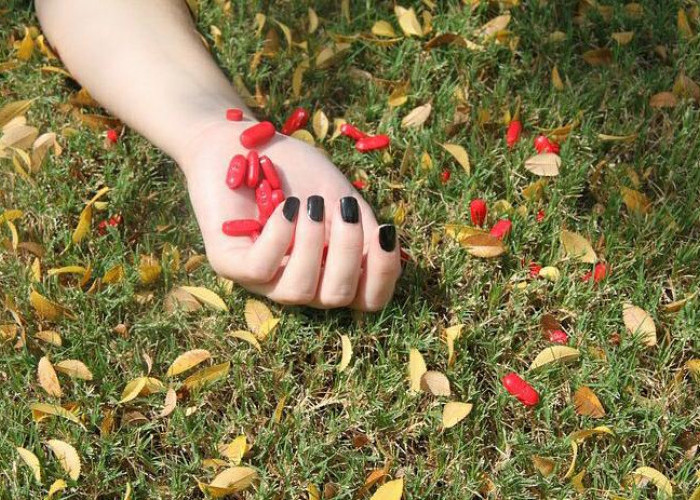 Herbal Plants Can Be Dangerous? This Group Should Avoid It’s Consumption