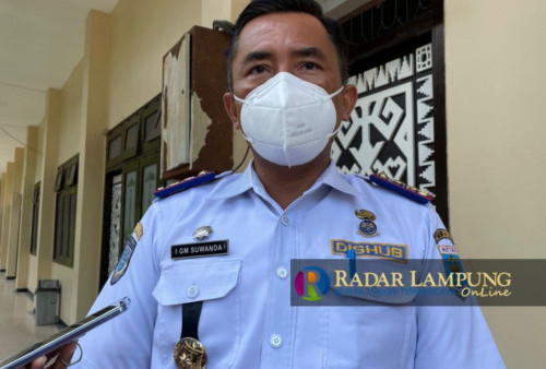 PJU Dikeluhkan Masyarakat, Begini Respon Dishub Metro
