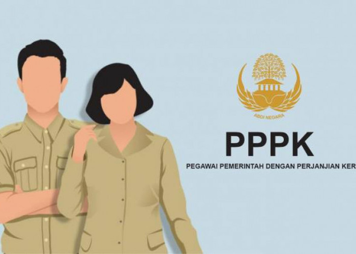 CPNS 2023 Segera Dibuka! Ini Batas Minimal IPK yang Boleh Daftar, Simak Persyaratannya