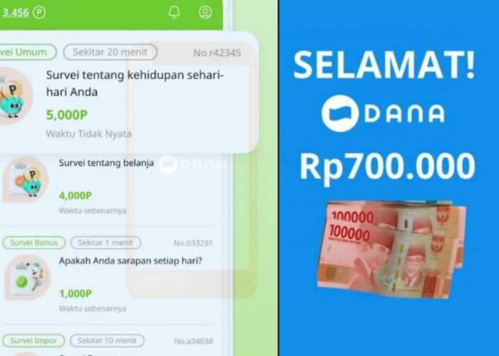 Saldo DANA Gratis Dari Isi Survey Sambil Rebahan, Ini Aplikasi Penghasil Uang yang Digunakan