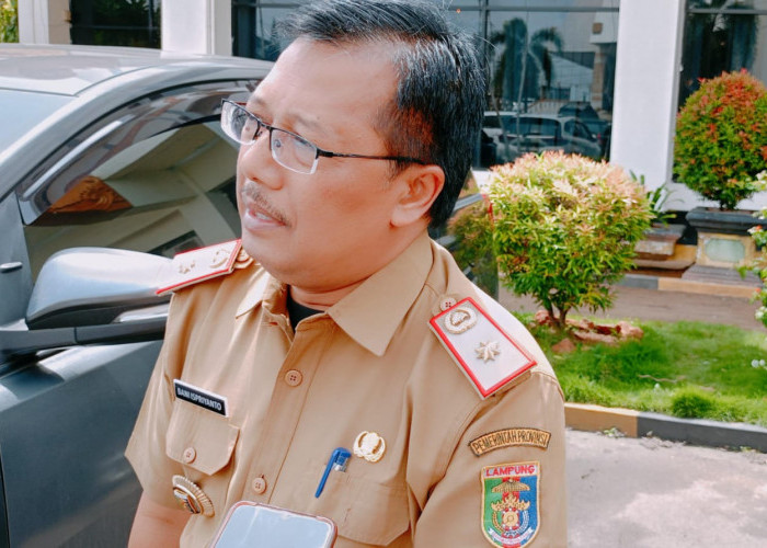 Pemprov Lampung Manfaatkan Lahan Rawa untuk Optimalisasi Produksi Padi dan Jagung
