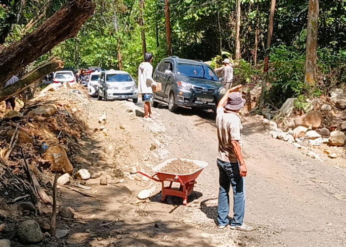 Kerusakan Jalan Liwa-Krui Belum Ditangani, Masih Diberlakukan Sistem Buka Tutup 