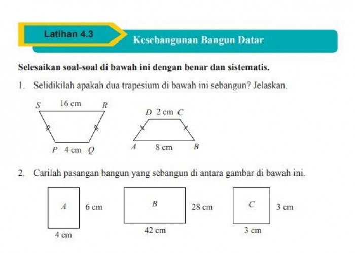 Kunci Jawaban Matematika Kelas 9 Halaman 238 Terkait Latihan 4.3 Tentang Kesebangunan Bangun Datar