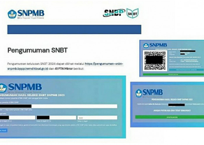 Cara Cek Pengumuman Hasil UTBK SNBT 2024, Ini yang Harus Dilakukan Jika Lolos