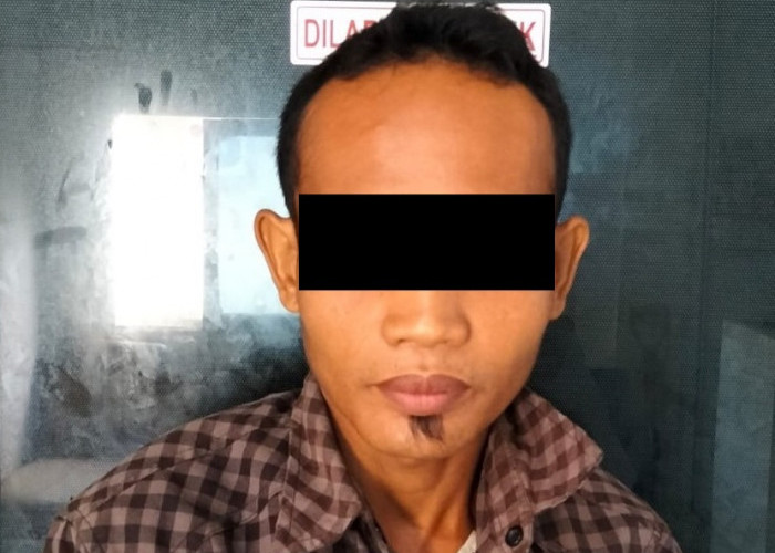Asyik 'Panen' Sawit, Satu Pelaku Curat Diamankan Polres Way Kanan