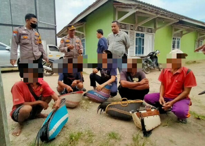34 Orang Diamankan Polisi Usai Digrebek Judi Sabung Ayam