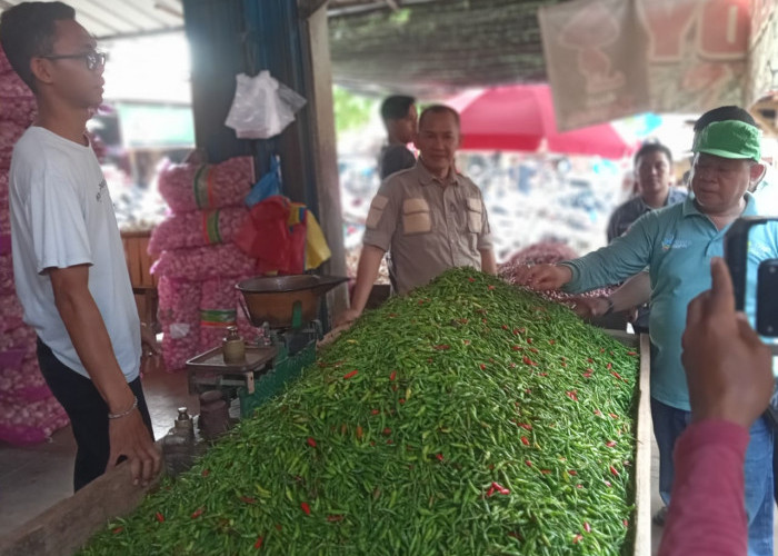 Harga Cabai Merah Alami Penuruan di Mesuji