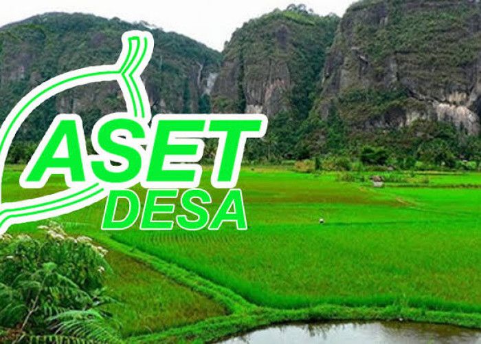 Separuh Desa di Mesuji Belum Laporkan Aset, Dampaknya...