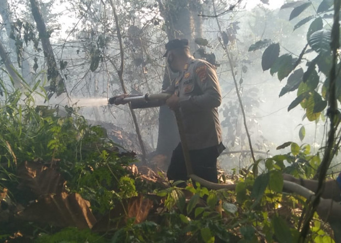 Marak Kebakaran Lahan, Begini Stok Air Bersih di Kota Metro