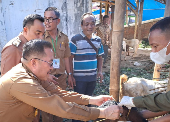 Tim Satgas Bergerak, Sisir Hewan Kurban di Pesawaran Lampung 