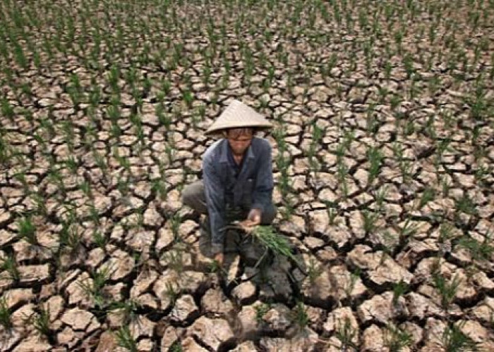 Antisipasi Dampak El Nino, BPBD Lampung 'Senggol' Provinsi Tetangga