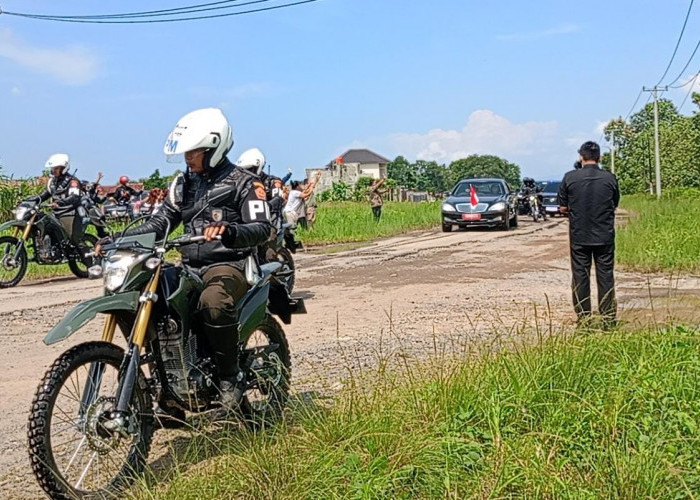 Warga Lamsel Curhat Jalan Terusan Ryacudu: Persis Kayak Pecel Diulek