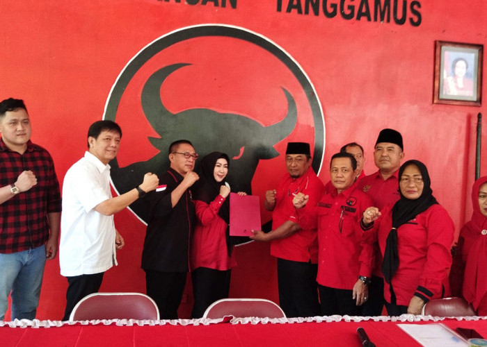 Siapa Bacalon Wabup Tanggamus Pendamping Petahana Dewi Handajani, Dari NU, Parpol atau Internal? 