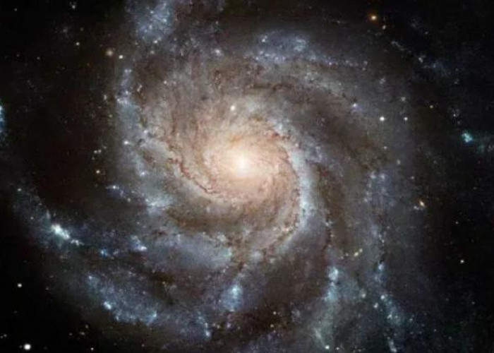 SN 2023 ixf: Supernova Paling Dekat dengan Planet Bumi