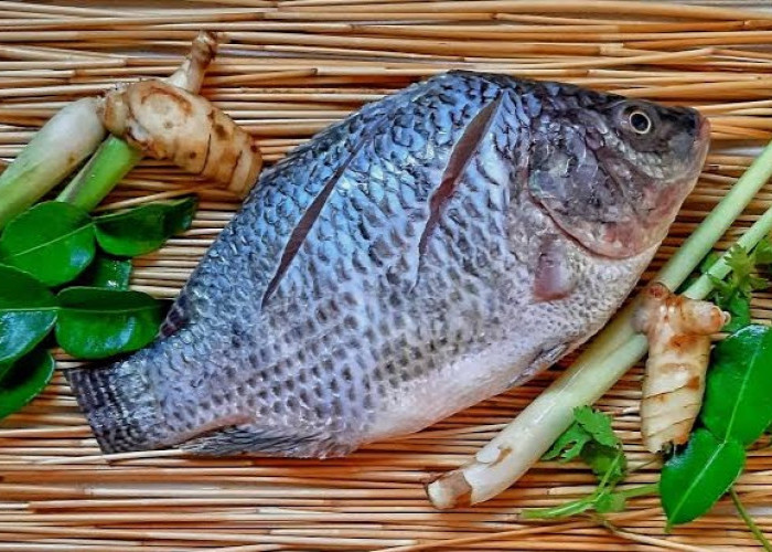 Tingkatkan Konsumsi Ikan di Tanggamus Dengan Berbagai Olahan 