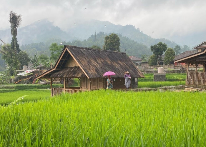 Punya View Alam yang Menggoda, Tajur Katineung di Purwakarta Jawa Barat Jadi Referensi Liburan Keluarga 