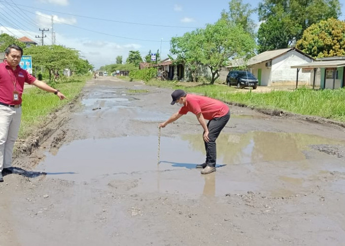 Enam Laporan Terkait Kerusakan Jalan Diterima Ombudsman Lampung