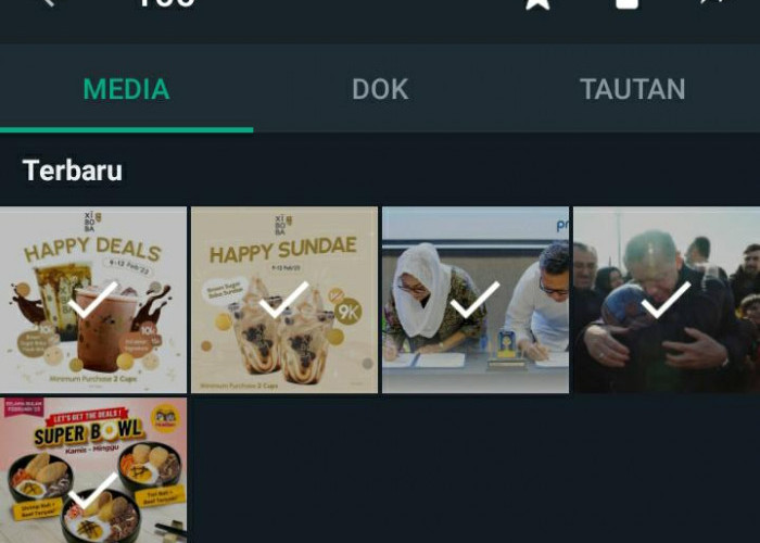Fitur Terbaru WhatsApp, Penggunanya Bisa Kirim Hingga 100 Foto Sekaligus
