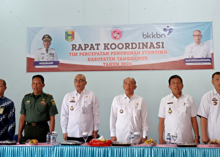 Turunkan Stunting di Tanggamus Lampung, Harus Ada Satu Kesatuan yang Terintegrasi!