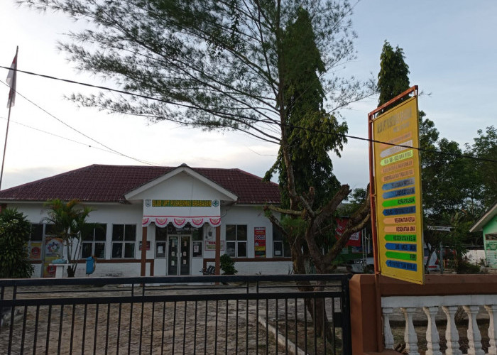 Catat! Cuti Bersama Sejumlah Layanan Kesehatan di Mesuji Libur, Kemana Masyarakat Hendak Berobat?