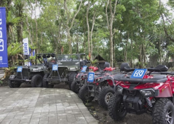 Cerita Desa BRILiaN di Lereng Gunung Merapi, Sukses Kembangkan Pariwisata Alam dan Agrikultur