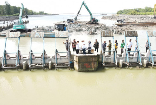 Produksi Udang Turun Drastis, DPR RI Dukung Program Revitalisasi Mandiri