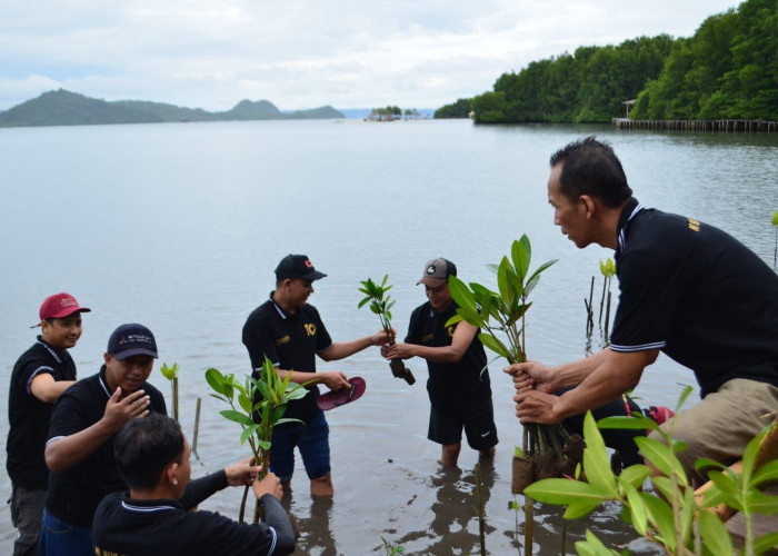 Sambut HUT Ke 10, Emersia Gelar CSR Tanam Mangrove di Petengoran