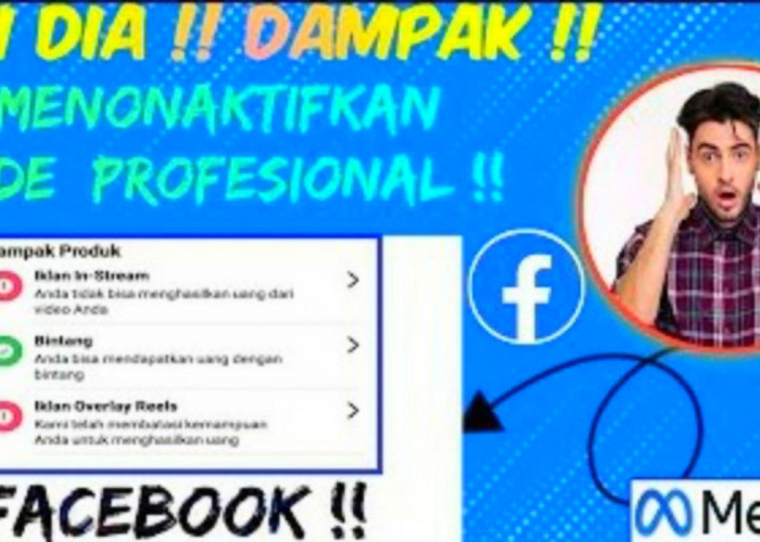 Dampak Menonaktifkan Mode Profesional di Facebook Pro