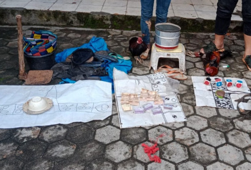 Polres Way Kanan Grebek Judi Sabung Ayam, Hasilnya...