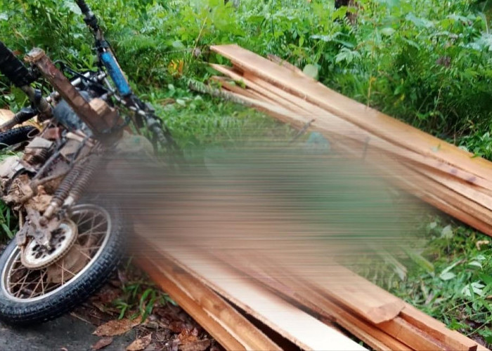 Polsek Pulau Panggung Olah TKP Korban Tewas Tertimpa Kayu, Hasilnya…