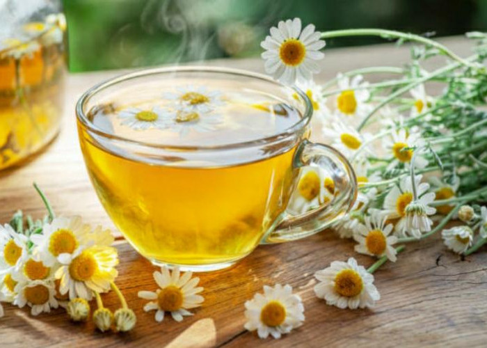 4 Jenis Tanaman Herbal yang Baik untuk Kesehatan Tubuh