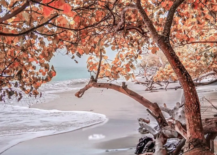 Pantai Setigi Heni Hidden Gems Lampung Selatan, Saksi Bisu Letusan Gunung Krakatau