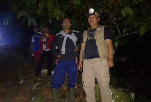 Satgas Kerepotan, Dekati Pemukiman di Suoh, Kawanan Gajah Terpecah Dua 