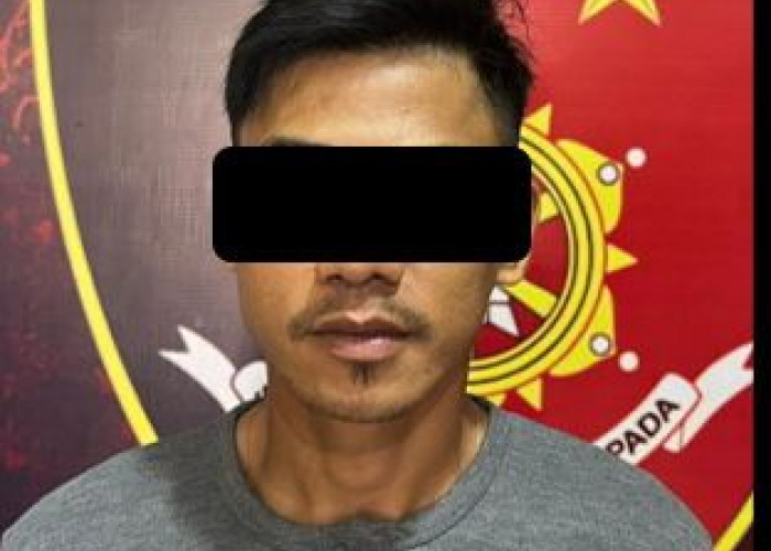 Tak Terima Video Asusila Istri Disebarkan, Pria Ini Dilaporkan ke Polisi