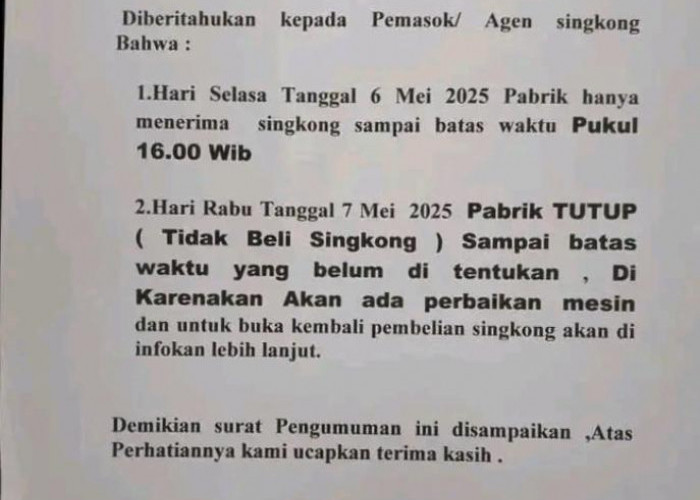 Berdalih Kerusakan Mesin, Salah Satu Perusahaan Singkong Tutup