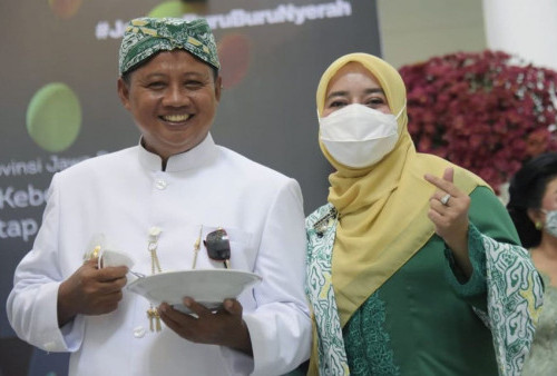 Ini Pernyataan Kontroversi Wagub Jabar, Soal Perundungan Bocah Setubuhi Kucing