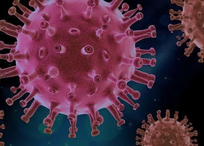 Bukan Hanya Anak Kecil, Ini 4 Gejala Flu Singapura yang Menyerang Orang Dewasa 
