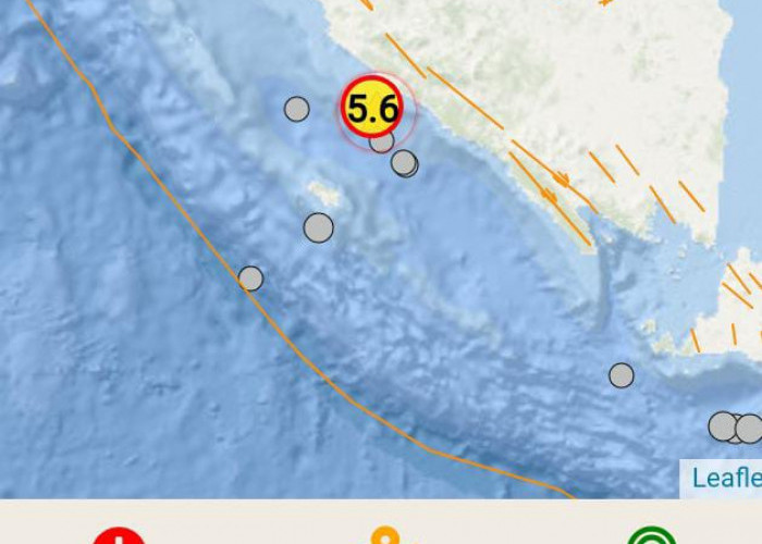Getaran Gempa di Bengkulu Selatan Terasa Hingga Pesisir Barat