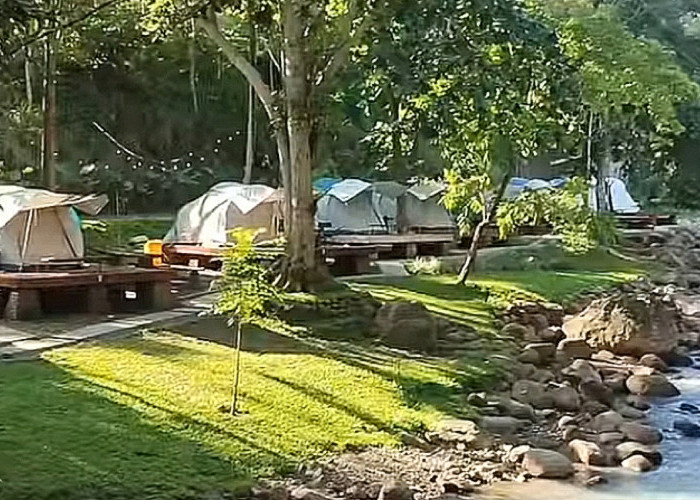 Tarif Terbaru Glamping di Taman Wisata Alam Wira Garden Lampung, Ini Lokasi dan Fasilitas yang Tersedia