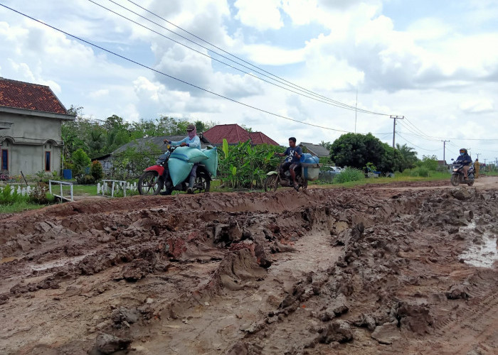 Jalan Rusak di Mesuji, Ongkos Angkutan Hasil Bumi Mahal